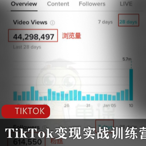 （龟课·TikTok）教程