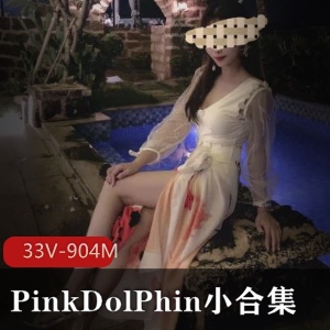 PinkDolPhin魅力小合集：33个视频尽显健身房与床上运动风采，904M精彩内容等你来发现！